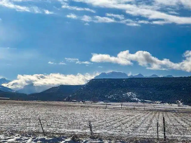 Winter views from the property